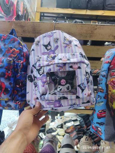 عکس کیف و کفش پاناز