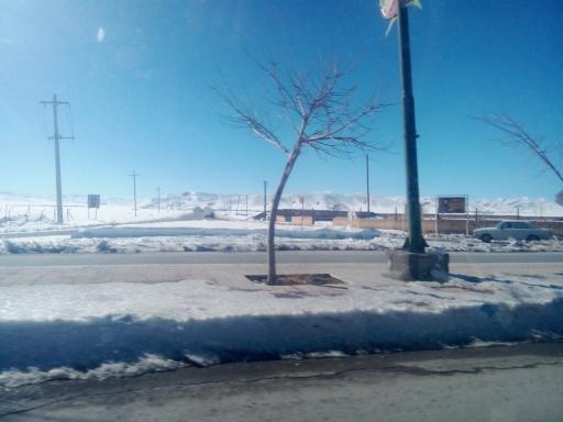 عکس بارده
