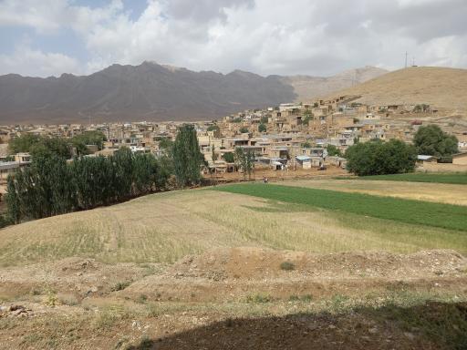 بارده