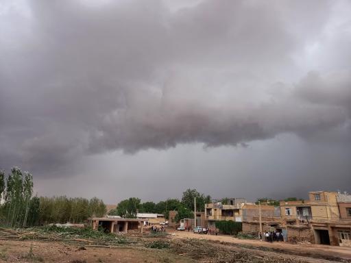 عکس بارده