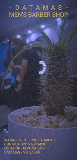 عکس آرایشگاه مردانه داتاماس شعبه دوم