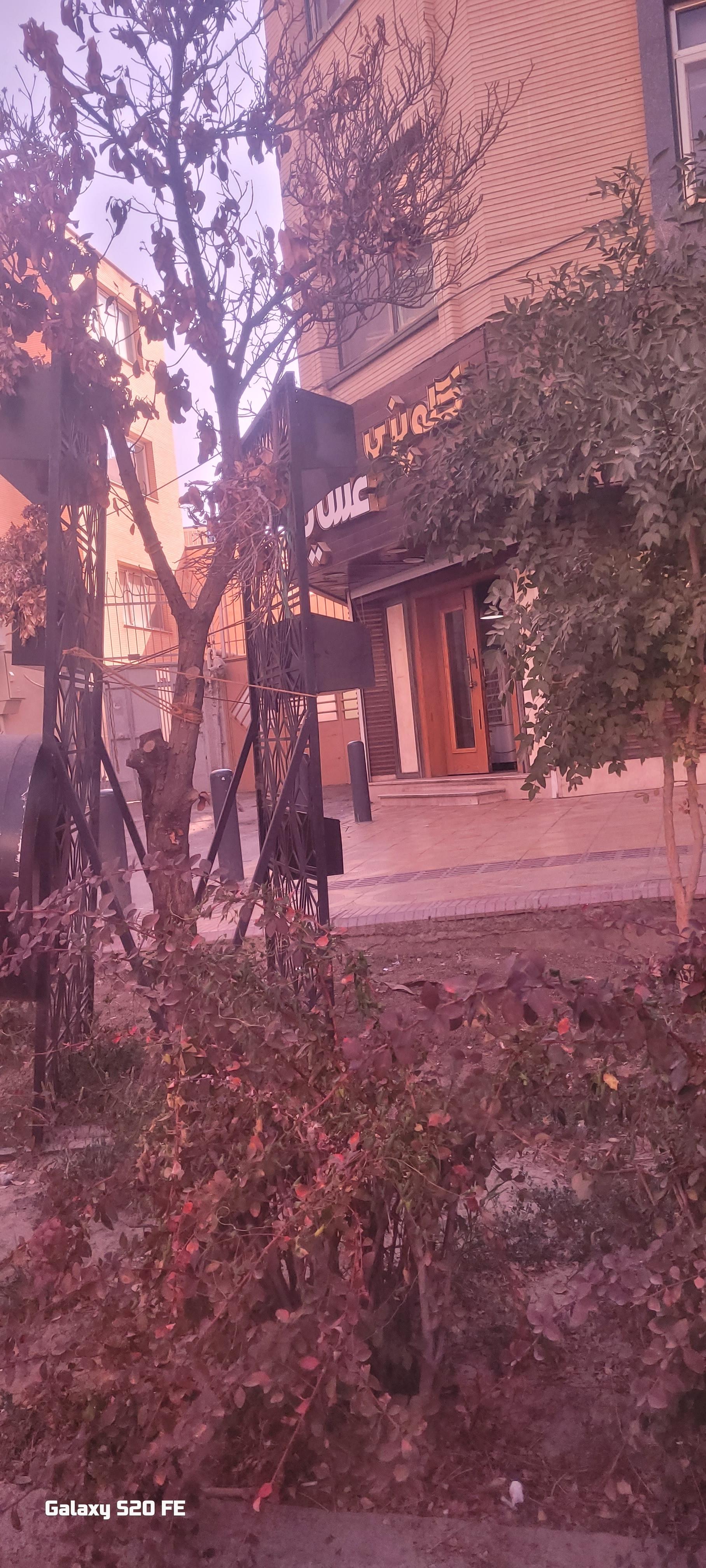 عکس کله پزی عشایر