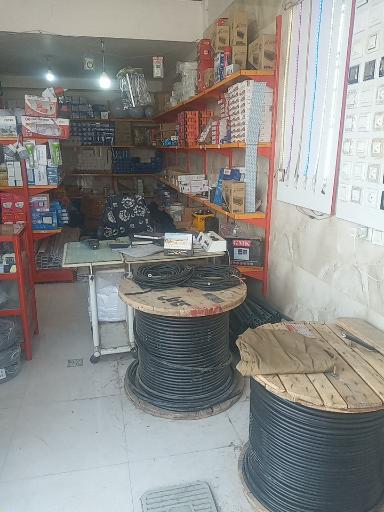 عکس الکتریکی همایونی