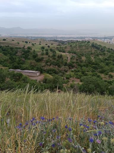 عکس بوستان آسمان