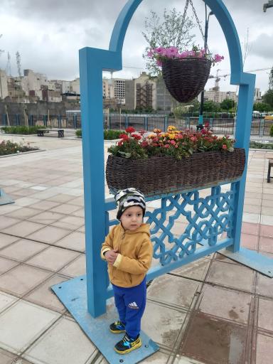 عکس ورودی رضوان