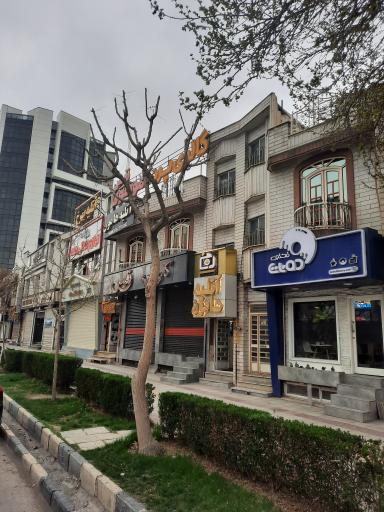 عکس آتلیه هامون