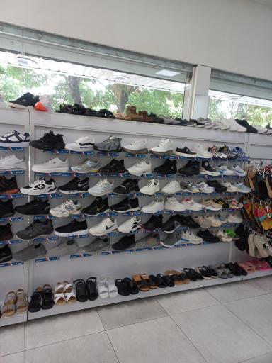 عکس کفش البرز