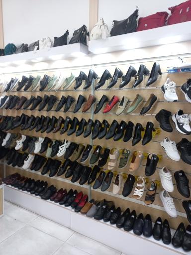 عکس کفش البرز