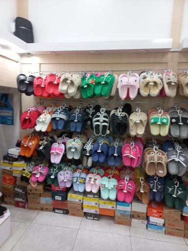 عکس کفش البرز