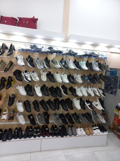 عکس کفش البرز