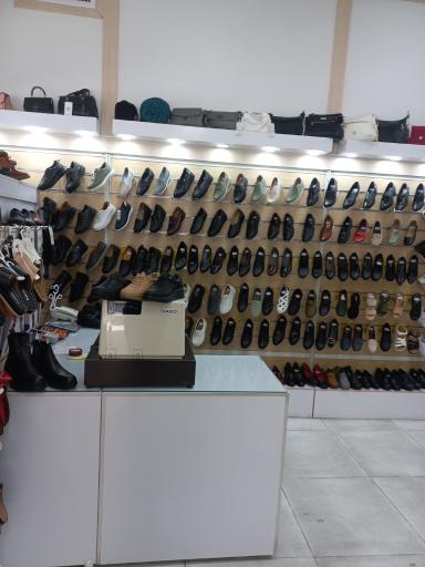 عکس کفش البرز