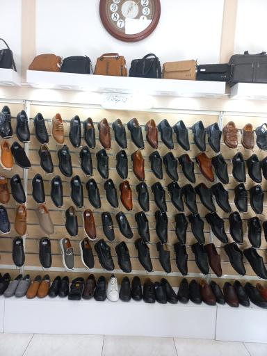 عکس کفش البرز