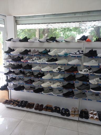 عکس کفش البرز