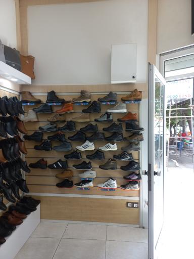 عکس کفش البرز