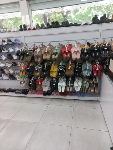 عکس کفش البرز