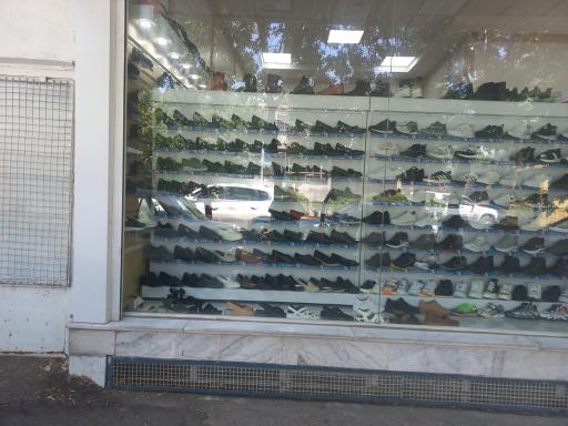 عکس کفش البرز