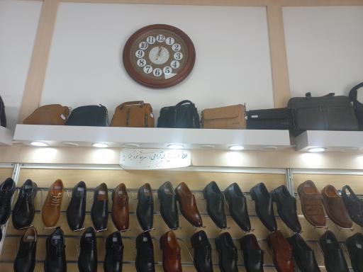 عکس کفش البرز