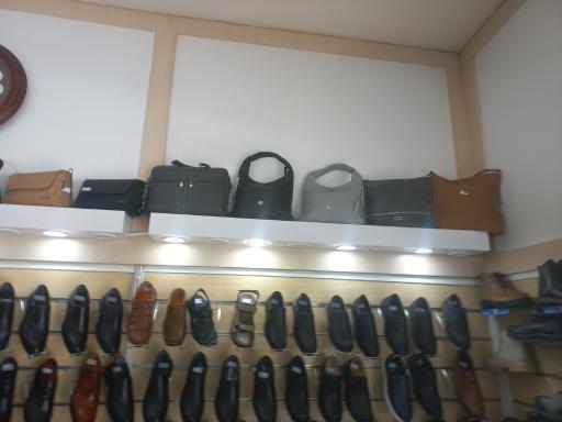 عکس کفش البرز