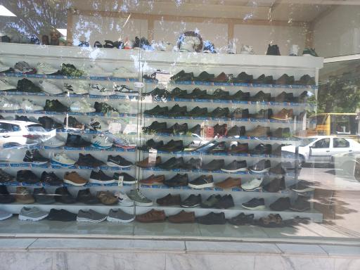 عکس کفش البرز