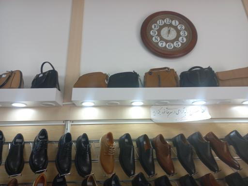 عکس کفش البرز