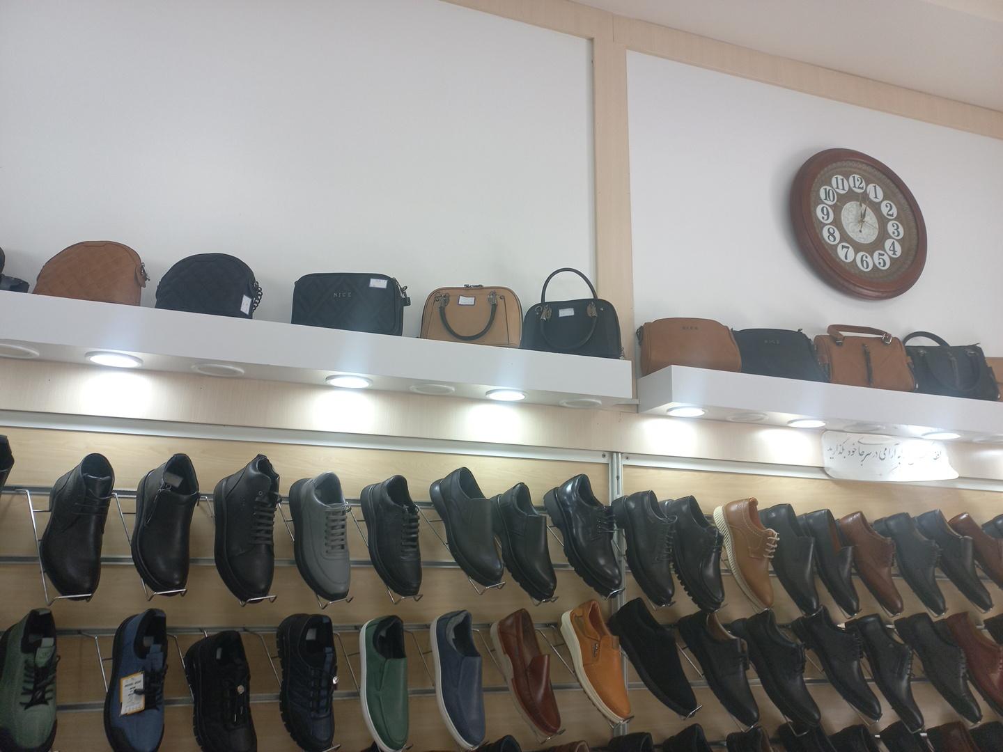 عکس کفش البرز