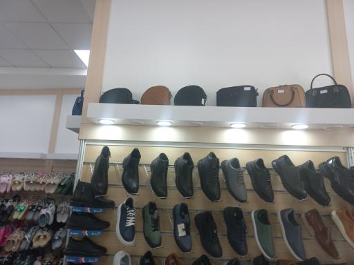 عکس کفش البرز