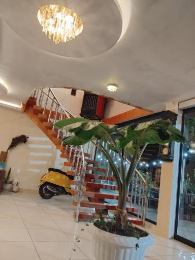 عکس سفره خانه دنج شاندیز