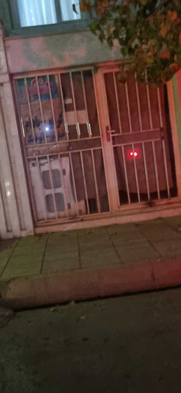 عکس خشکبار سالمی