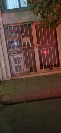 عکس خشکباری سالمی 