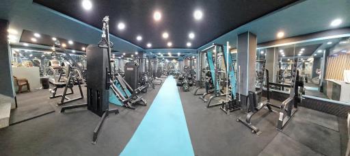 عکس باشگاه بدنسازی پاشا