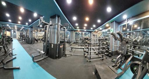 عکس باشگاه بدنسازی پاشا