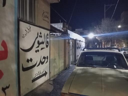عکس قالیشویی وحدت 