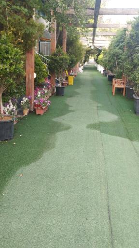 عکس کاخ رستوران پارسه