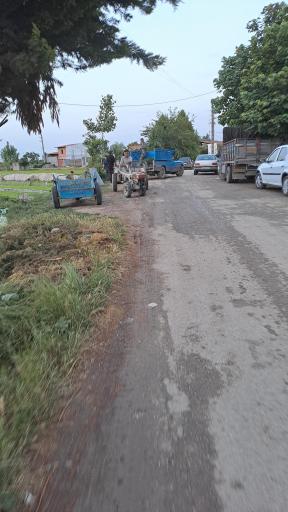 عکس بانک نشا عمو خلیل