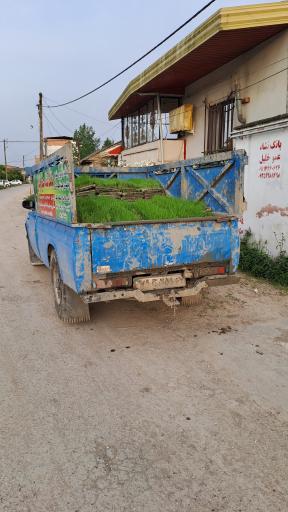عکس بانک نشا عمو خلیل