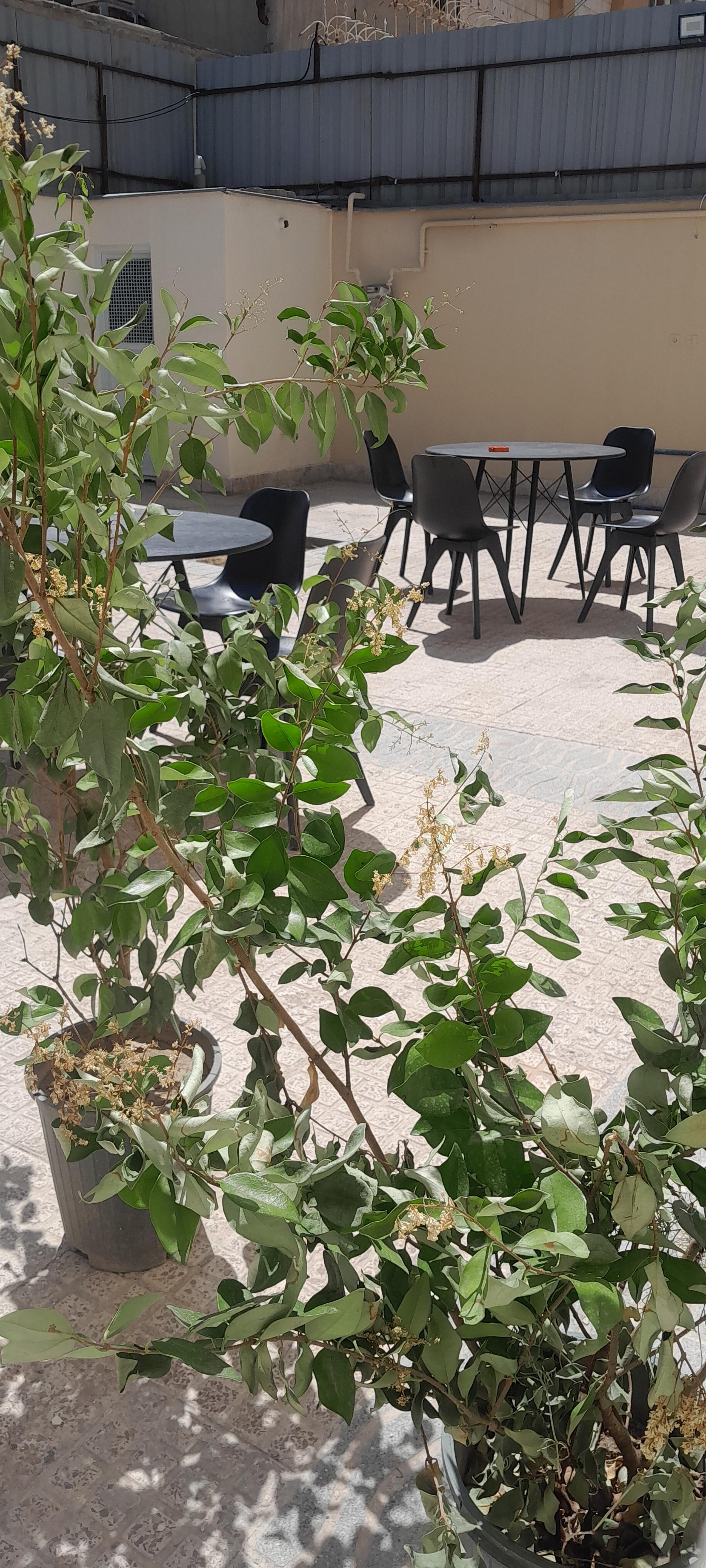 عکس کافه کتاب خودنویس
