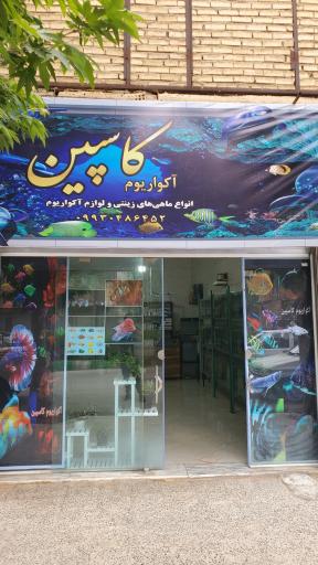 آکواریوم کاسپین