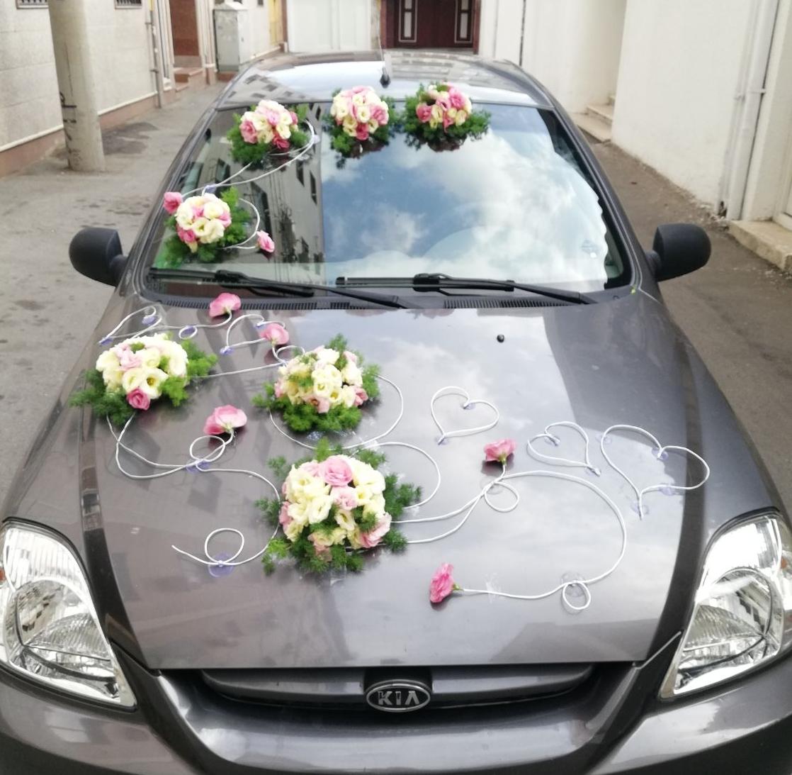 عکس گل سرای کیا راد 