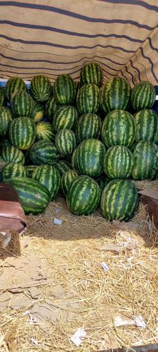 عکس میوه فروشی برادران سپهوند