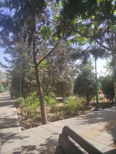 عکس بوستان سروستان