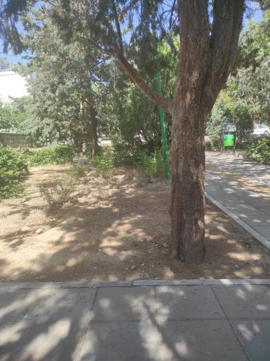 عکس بوستان سروستان