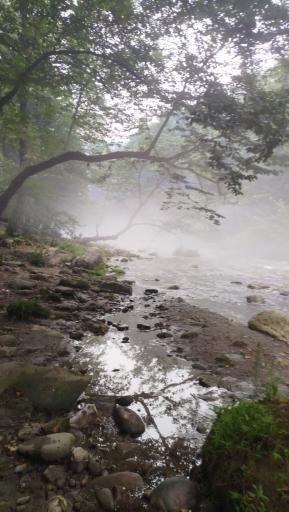 عکس رود بابلرود