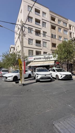 عکس دیتیلینگ محمدی