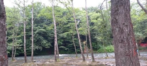 عکس رود بابلرود