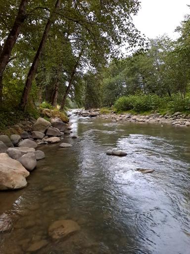 عکس رود بابلرود