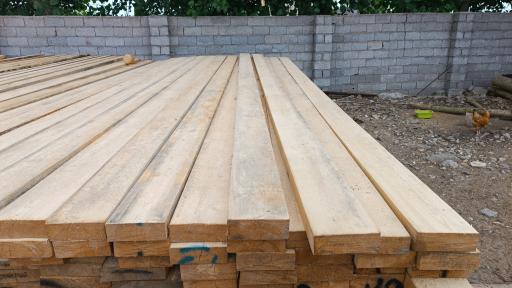 عکس چوب بری ایمان