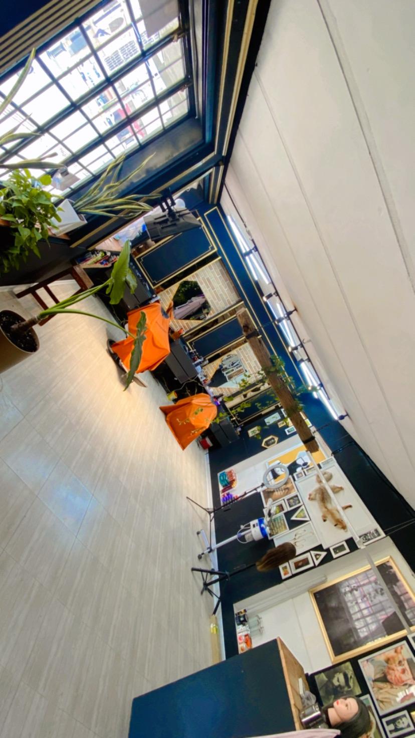 عکس پیرایش دیاموند