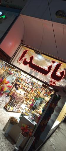 گالری پاندا