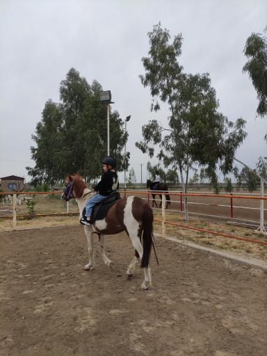 عکس باشگاه سوارکاری زرین (قره قولپاقی)