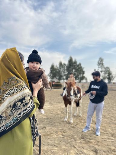 عکس باشگاه سوارکاری زرین (قره قولپاقی)